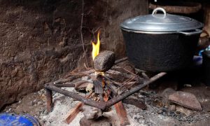 Revealed: ‘dozens’ of girls subjected to breast-ironing in UK (theguardian.com)